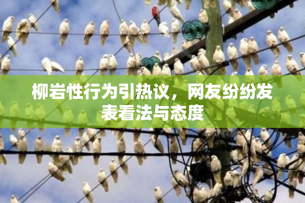 柳岩性行为引热议，网友纷纷发表看法与态度