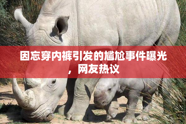 因忘穿内裤引发的尴尬事件曝光，网友热议