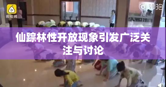 仙踪林性开放现象引发广泛关注与讨论
