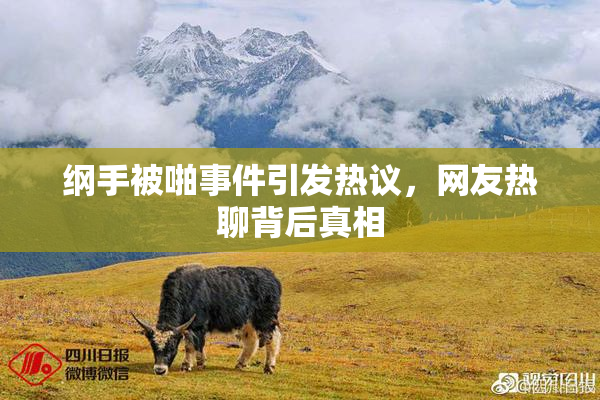 纲手被啪事件引发热议，网友热聊背后真相