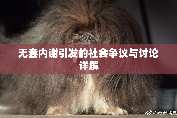 无套内谢引发的社会争议与讨论详解