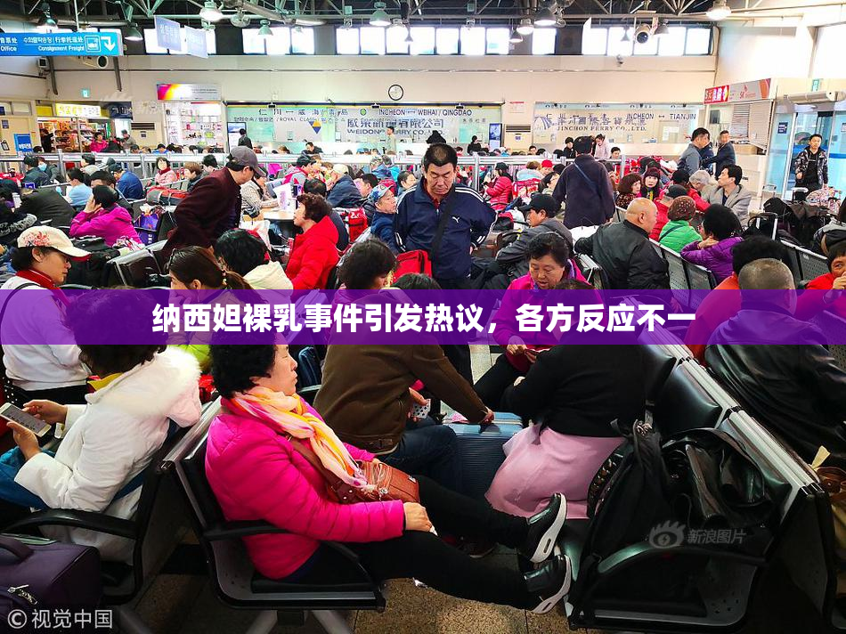 纳西妲裸乳事件引发热议，各方反应不一