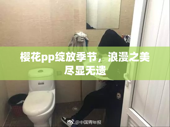 樱花pp绽放季节，浪漫之美尽显无遗