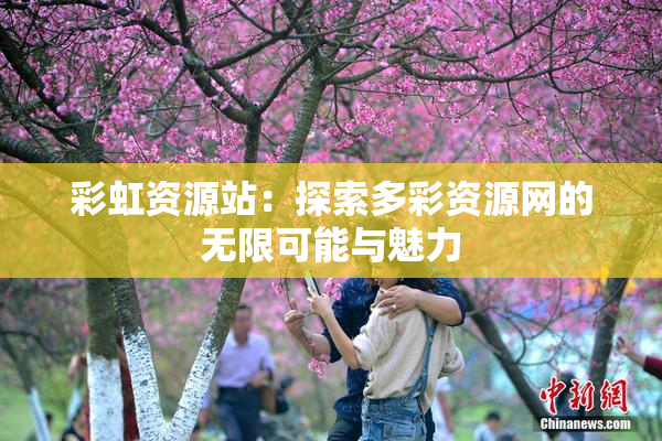 彩虹资源站：探索多彩资源网的无限可能与魅力