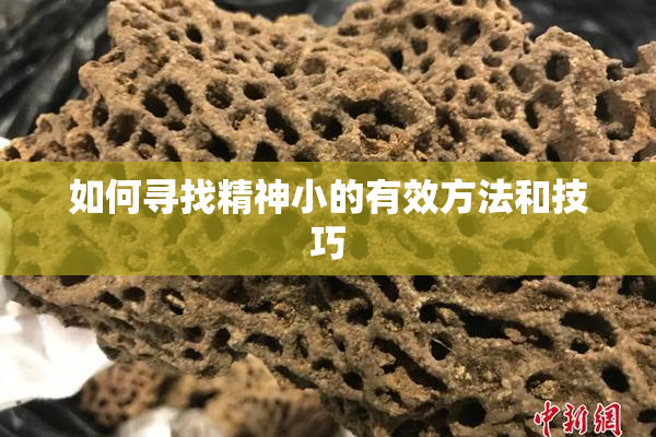 如何寻找精神小的有效方法和技巧