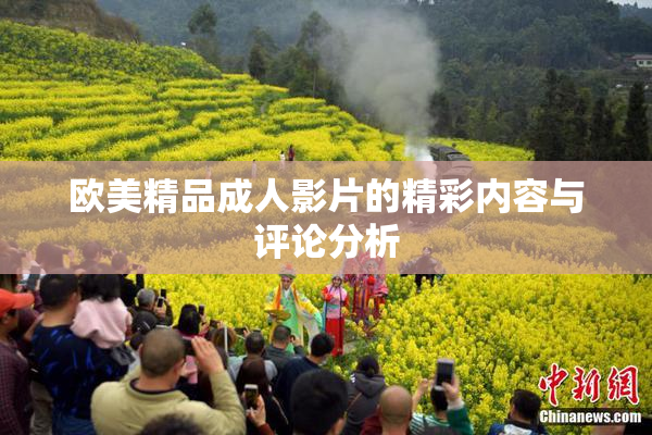 欧美精品成人影片的精彩内容与评论分析