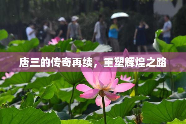 唐三的传奇再续，重塑辉煌之路