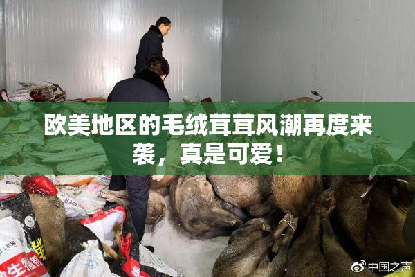 欧美地区的毛绒茸茸风潮再度来袭，真是可爱！
