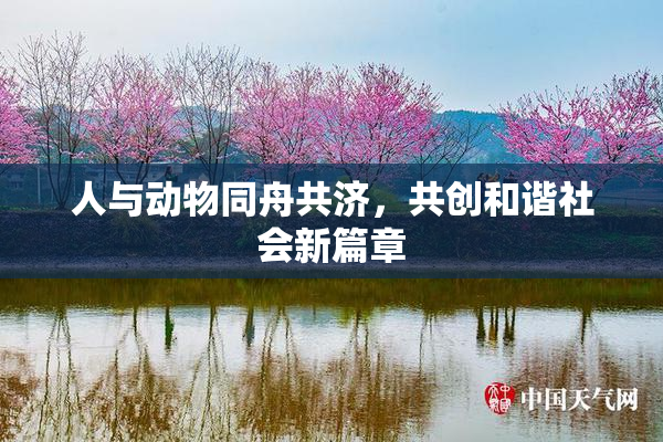 人与动物同舟共济，共创和谐社会新篇章