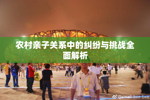 农村亲子关系中的纠纷与挑战全面解析