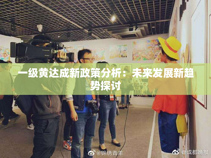 一级黄达成新政策分析：未来发展新趋势探讨
