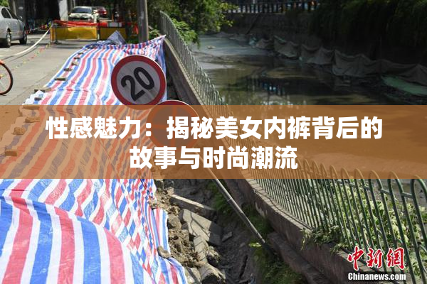 性感魅力：揭秘美女内裤背后的故事与时尚潮流