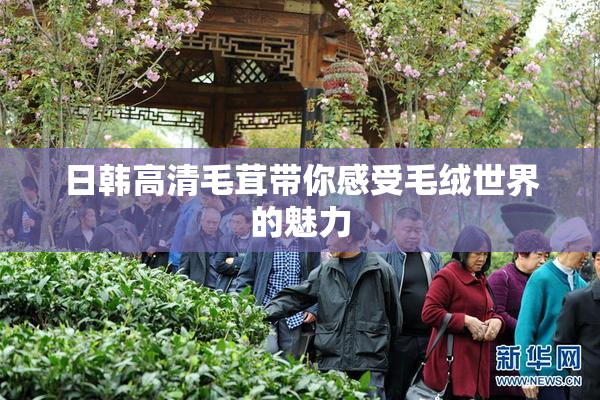 日韩高清毛茸带你感受毛绒世界的魅力