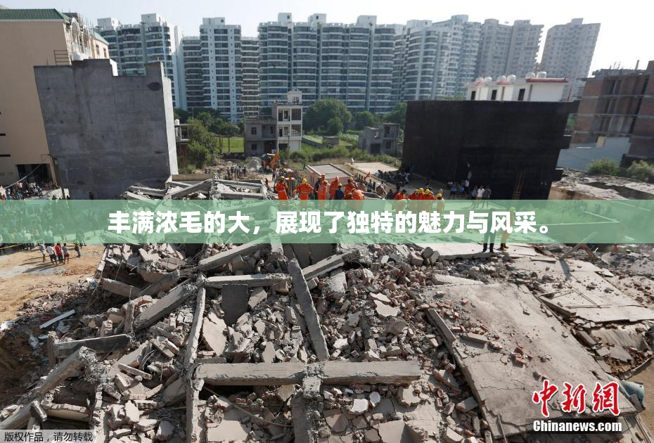 丰满浓毛的大，展现了独特的魅力与风采。