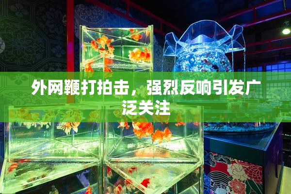 外网鞭打拍击，强烈反响引发广泛关注