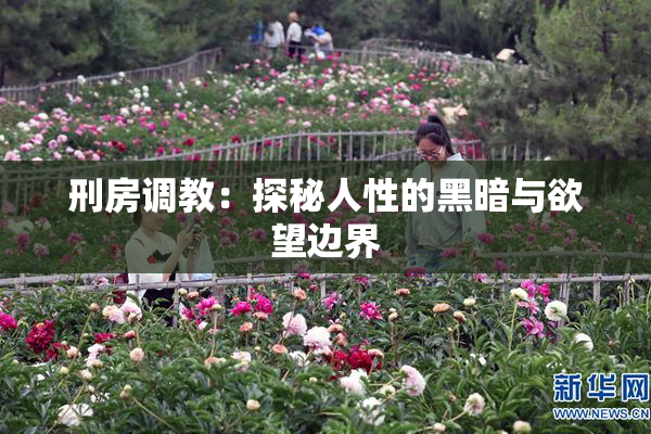 刑房调教：探秘人性的黑暗与欲望边界