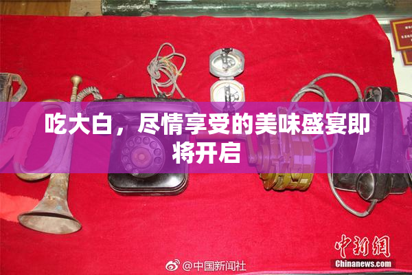 吃大白，尽情享受的美味盛宴即将开启