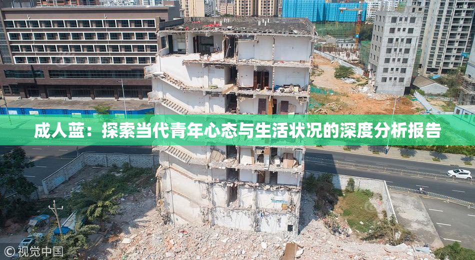 成人蓝：探索当代青年心态与生活状况的深度分析报告
