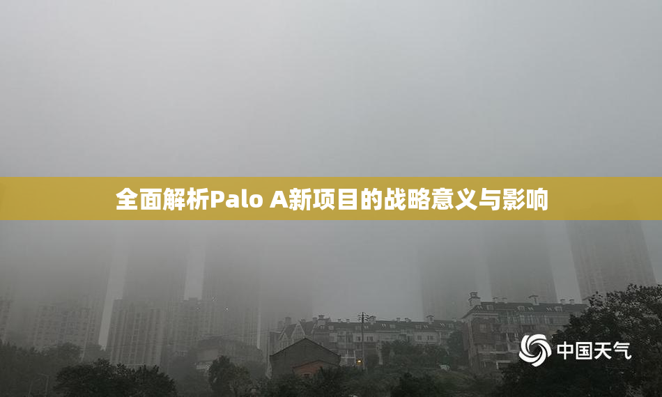 全面解析Palo A新项目的战略意义与影响