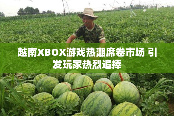 越南XBOX游戏热潮席卷市场 引发玩家热烈追捧