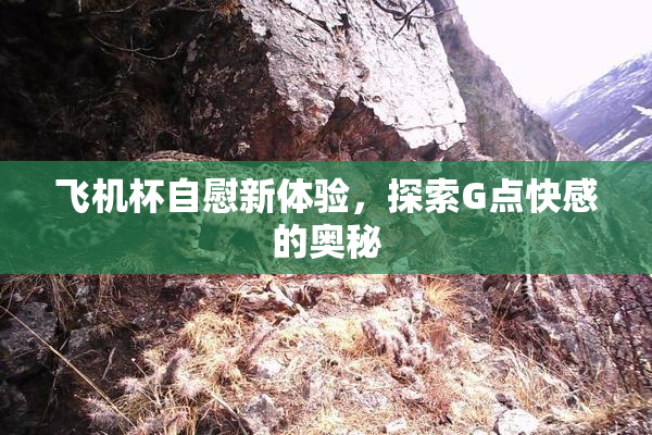 飞机杯自慰新体验，探索G点快感的奥秘