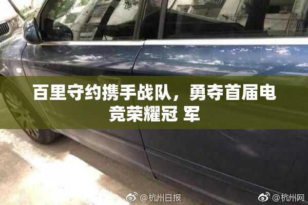 百里守约携手战队，勇夺首届电竞荣耀冠 军