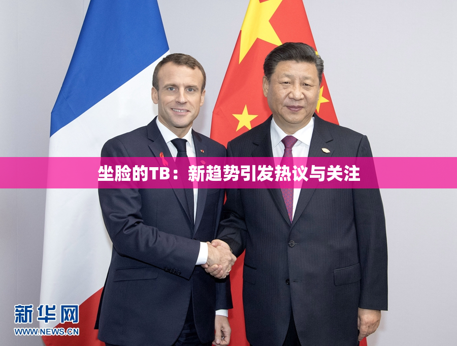 坐脸的TB：新趋势引发热议与关注