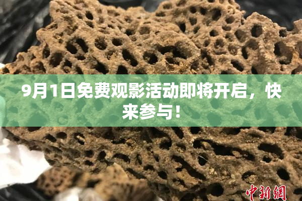 9月1日免费观影活动即将开启，快来参与！