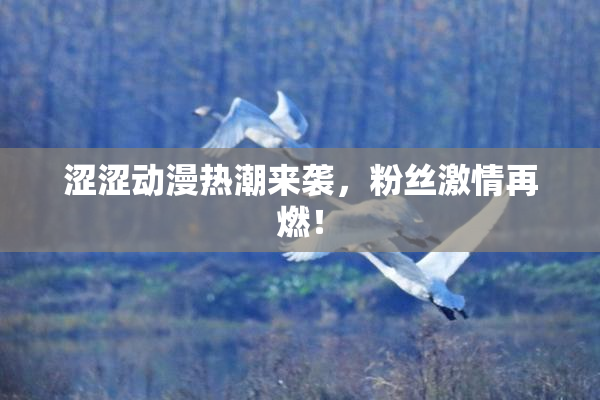 涩涩动漫热潮来袭，粉丝激情再燃！