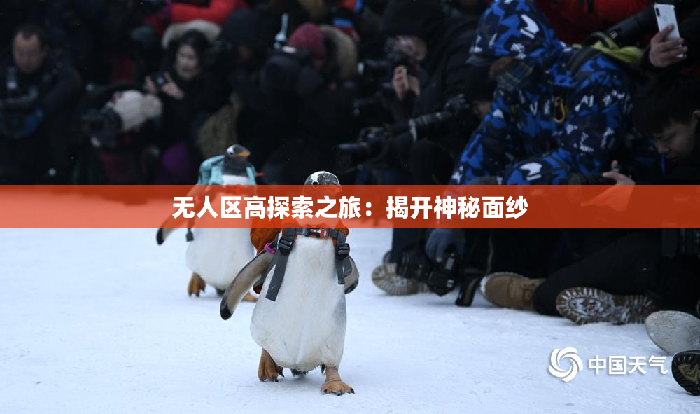 无人区高探索之旅：揭开神秘面纱