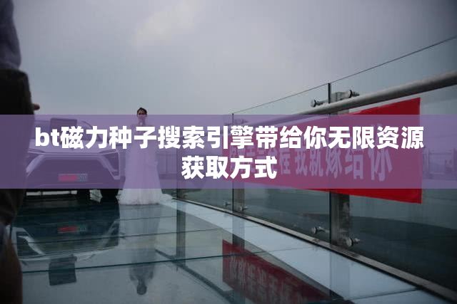 bt磁力种子搜索引擎带给你无限资源获取方式