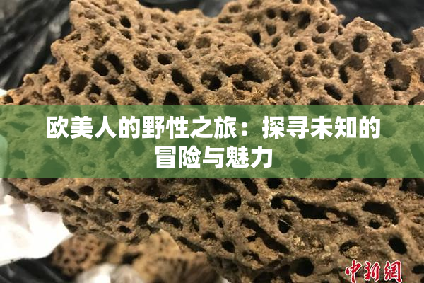 欧美人的野性之旅：探寻未知的冒险与魅力