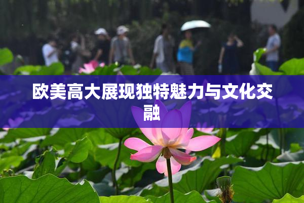 欧美高大展现独特魅力与文化交融