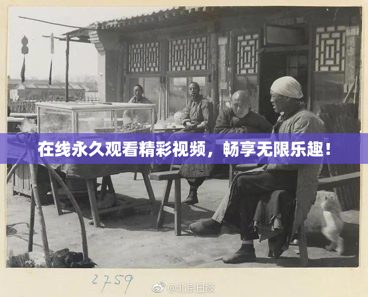 在线永久观看精彩视频，畅享无限乐趣！