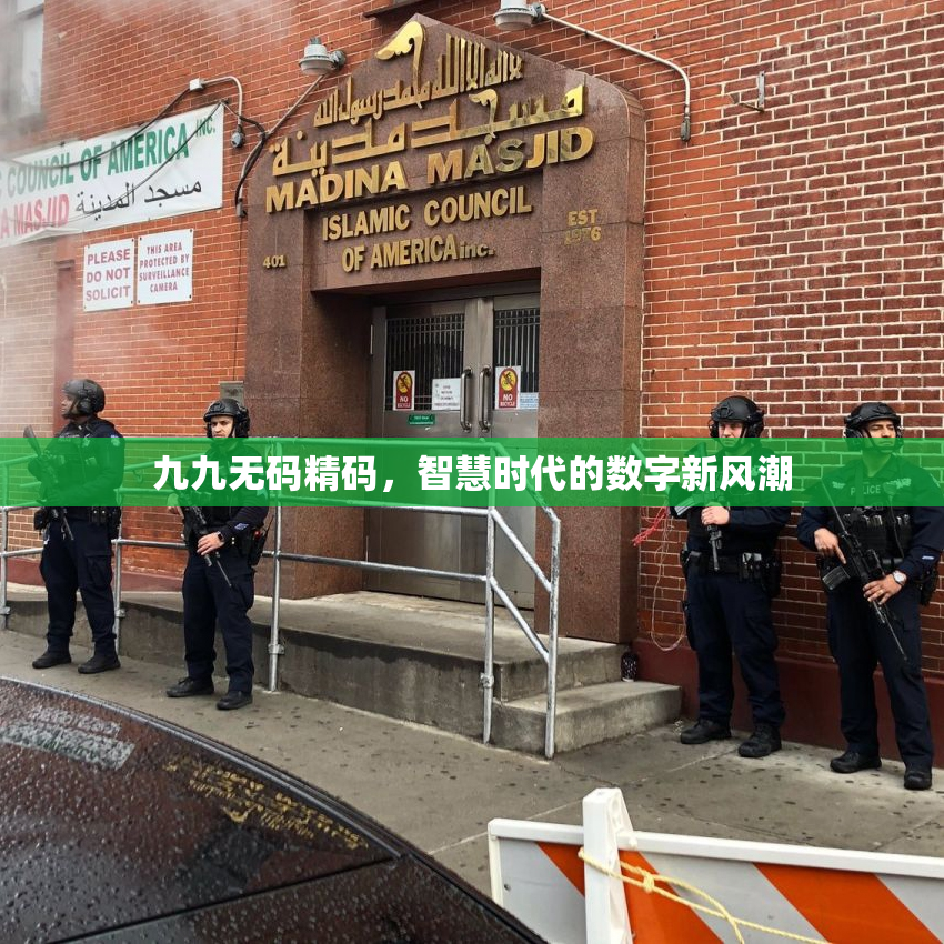九九无码精码，智慧时代的数字新风潮