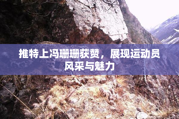 推特上冯珊珊获赞，展现运动员风采与魅力