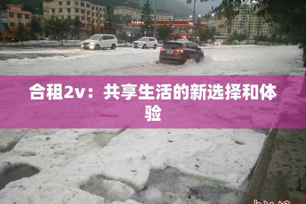 合租2v：共享生活的新选择和体验