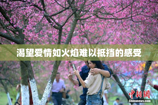 渴望爱情如火焰难以抵挡的感受
