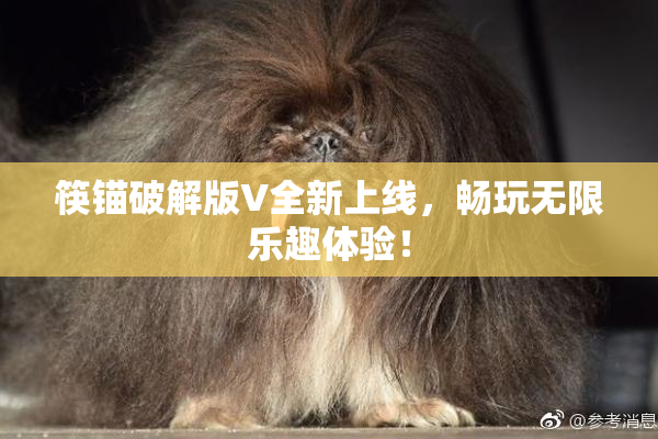 筷锚破解版V全新上线，畅玩无限乐趣体验！