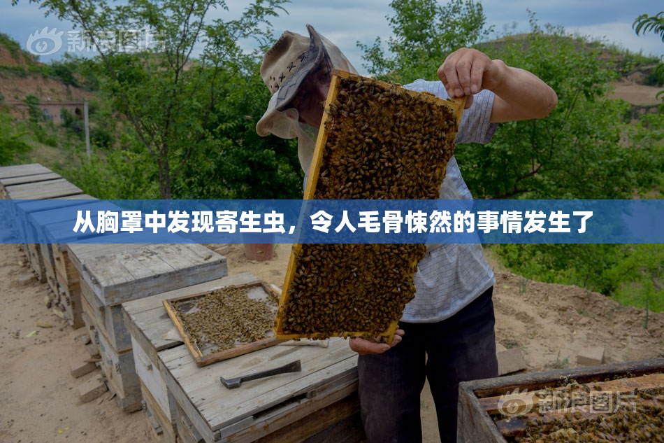 从胸罩中发现寄生虫，令人毛骨悚然的事情发生了