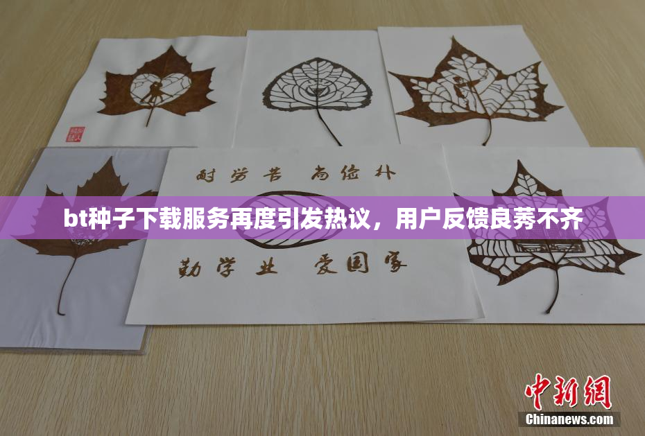 bt种子下载服务再度引发热议，用户反馈良莠不齐