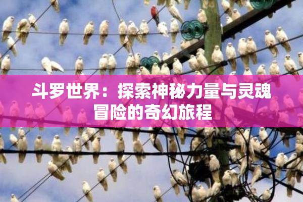 斗罗世界：探索神秘力量与灵魂冒险的奇幻旅程