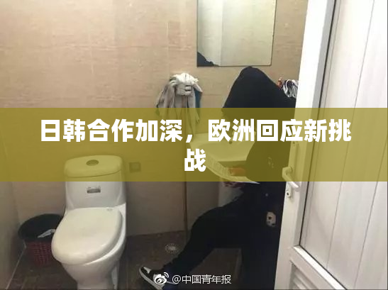 日韩合作加深，欧洲回应新挑战