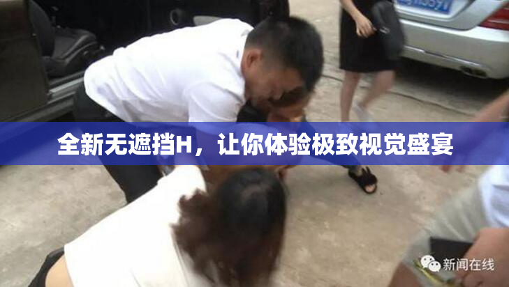全新无遮挡H，让你体验极致视觉盛宴