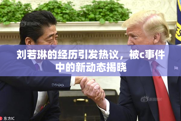 刘若琳的经历引发热议，被c事件中的新动态揭晓
