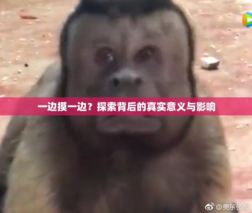 一边摸一边？探索背后的真实意义与影响