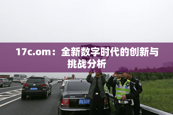 17c.om：全新数字时代的创新与挑战分析