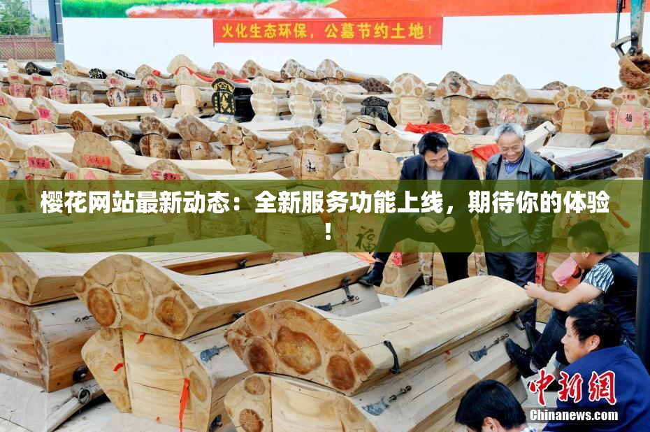 樱花网站最新动态：全新服务功能上线，期待你的体验！