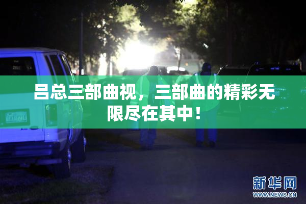 吕总三部曲视，三部曲的精彩无限尽在其中！