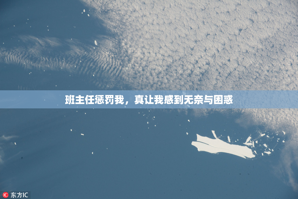班主任惩罚我，真让我感到无奈与困惑